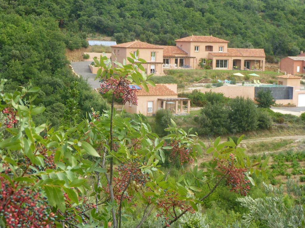 مبيت وإفطار Saint-Jean-de-la-Blaquiere Domaine De Flo Adult A Partir De 16 Ans المظهر الخارجي الصورة